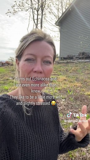 Growing Echinacea: Tips for Success