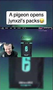 LMAO hivise gets a pigeon to open jynxis packs #jynxzi #funny #fyp #foryou #rainbowsixsiege #pigeon