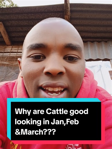 smart animals in jan,feb & march #AHlocus #insights #betterfarming #animallover #vetlife