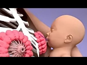 Breastfeeding 101: How to Achieve a Perfect Latch for Comfortable Feeding"