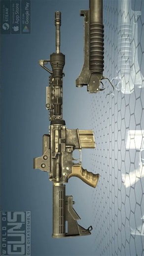M4: One Rifle, Endless Configurations 🇺🇸 #gunmechanics #firearmeducation #accessories #m4