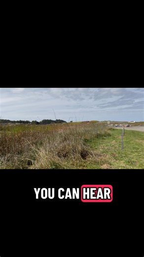 Willits Amateur Radio Society on Reels