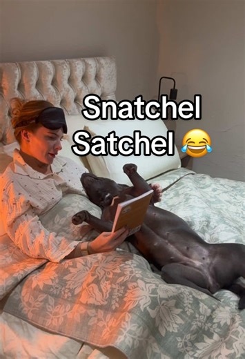 Staffy's Hilarious Book Reading Blooper