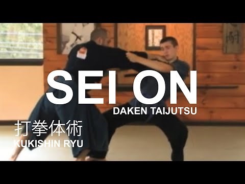 Taijutsu: Sei On 生音 Shoden Gata of Kukishin Ryu Daken Taijutsu