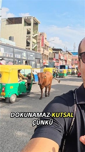 I had a chaotic but very fun day in India! New video is live 🇮🇳😄 #India #Asia