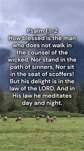 Psalm 1:1-2 - The Secret to Happiness