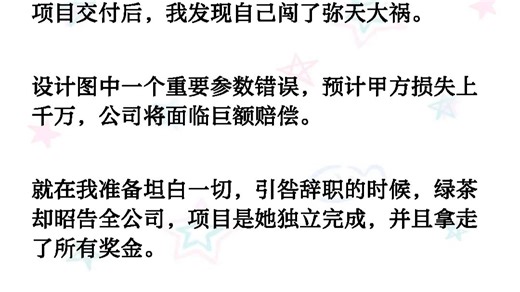 项目交付后，我发现自己闯了弥天大祸。设计图中一个重要参数错误，预计甲方损失上千万，公司将面临巨额赔偿。就在我准备坦自一切，引咎辞职的时候《风听交付》