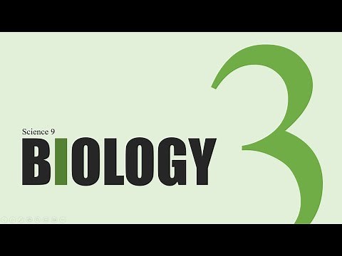 The Human Circulatory System: Knowledge Catalog Grade 9 Biology #3