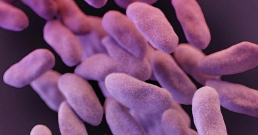 Fighting nightmare bacteria