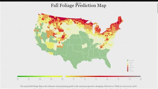 Here's when western Washington will see peak fall colors