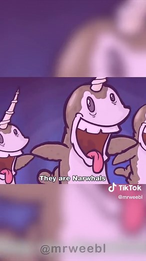 Narwhals Swimming in the Ocean | Animated Music Video