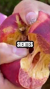 Mi tía se burló de mis cicatrices delante de toda la familia. Le di un golpe de realidad cuando le..