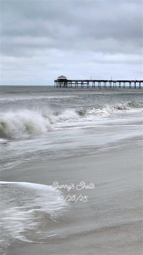 45 reactions | It was windy and rainy at sunrise #sherrysshells #inspiration #bestoftheday #photography | Sherry's Shells and Seaglass | Facebook
