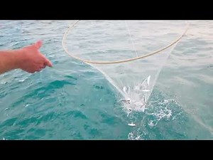 Ladies, Let's Go Fishing: How to use a Hoop Net to catch ballyhoo and cigar minnows
