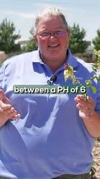Yellow Leaves, Green Veins? Iron Chlorosis Symptoms and Solutions for Landscapes