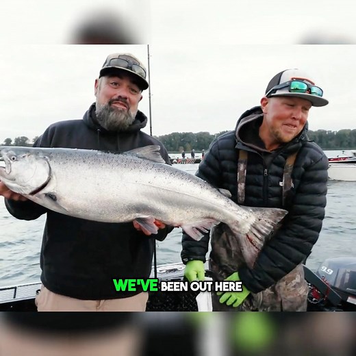 14K views · 188 reactions | Insane Fishing! Catching Fish After Fish! | Addicted Fishing | Facebook