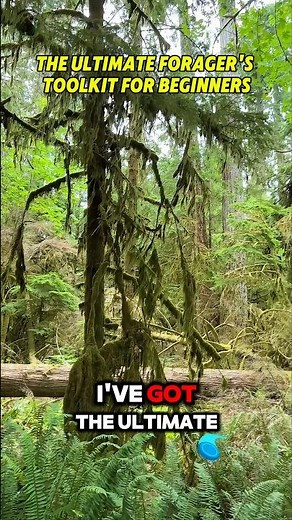 The Ultimate Forager's Toolkit for Beginners in 1 minute