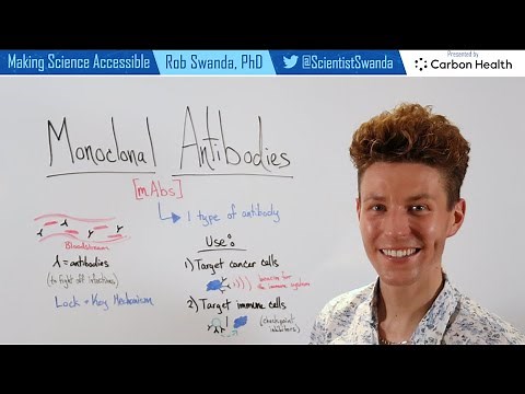 How do Monoclonal Antibodies Work?
