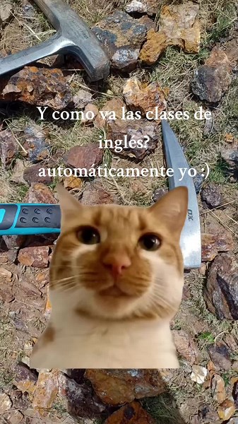 Humor! #geology #viral_video #Geo #parati