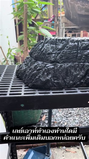 เลย์เอาท์ทำเอง#ตู้ปลา #เทรนด์วันนี้ #ตู้ไม้น้ํา #กุ้งแคระ #ร้านซอยในครัว