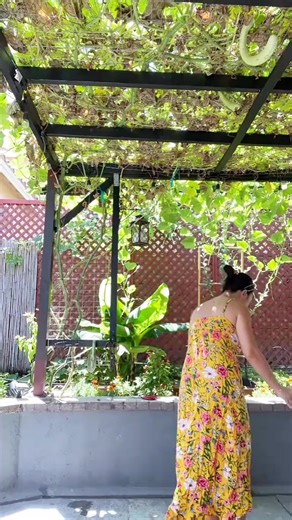 This your nacho face! 😭 joke of father | Dean Amos