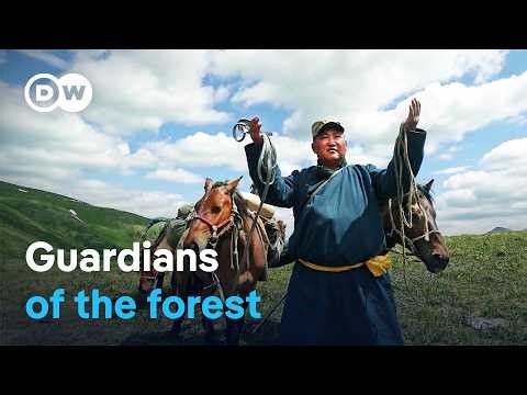 Mongolia - Valley of the bears | DW Documentary