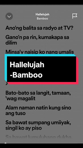 Hallelujah Bamboo Lyrics and Meaning