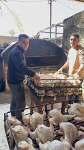 رمضان كريم عليكم 🌙✨ وأقوى عروض المندي رجعت تكسر الدنيا 💣🔥 🍗 مندي بطعم زمان 🍖 رز مفلفل وريحه تشهي 🔥 شغل نظيف وطعم مفيش بعده 📞 خدمة التوصيل: 01006830509 اطلب دلوقتي وفطر على أصوله 👌 أبو رفاعي دايمًا قدها في رمضان 💪� | ابو رفاعي