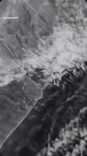 LMT LIVE SESSIONS VOL. 1 #LMT #grupoLMT #ingridlozano #LMTRENOVADO #livesessions