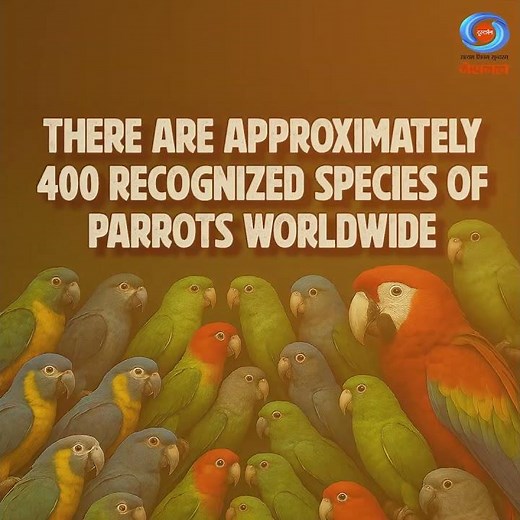 World Parrot Day: रंग-बिरंगे तोते और उनकी सुरक्षा की पुकार 🦜 | #WorldParrotDay