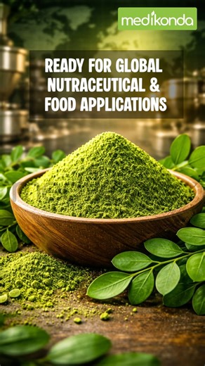 Inside Moringa Production: How Premium Leaf Powder is Made