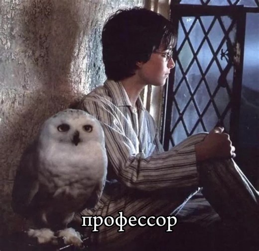 Exploring Severus Snape's Role in Harry Potter and the Goblet of Fire