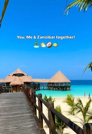Zanzibar Island on TikTok