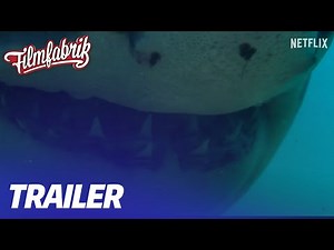 UNSERE OZEANE | Trailer | Die FILMFABRIK