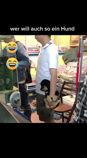 so ein süßer 🐕🐕🐕🐕🐕🐕🐕🐕