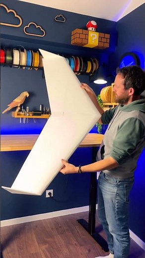 The FPV delta wing, it moves forward !!! #rc #plane #aeromodelisme #delta #wings #radiocontrolled