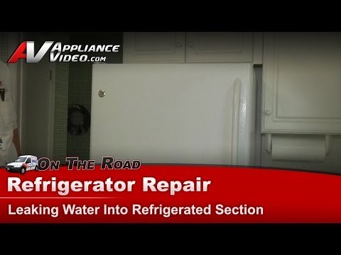 GE Refrigerator Repair - Leaking Water Into Refrigerated Section - Drain Trough Diagnostics