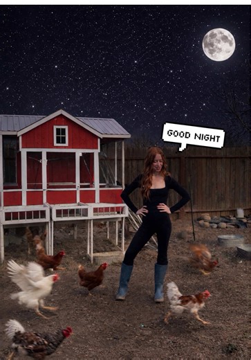 Putting the Mini Farm to Sleep: A Cozy Evening Routine