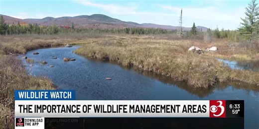 Inside Vermont’s largest wildlife management area