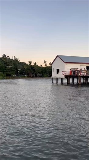 Now that looks fun 🤭, can we join? #portdouglassugarwharfevents 🎥: ladydouglasrivercruise Tropical North Queensland #exploretnq Visit Queensland, Australia #queensland @Australia.com #australia | Visit Port Douglas & Daintree