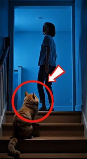 If Your Cat Blocks the Basement Stairs, Don’t Ignore It