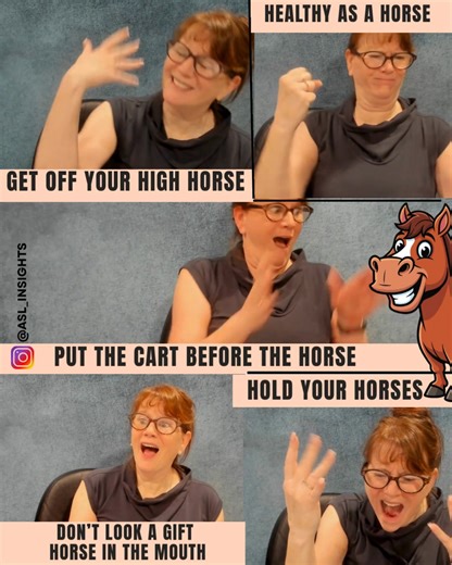 Trix Bruce | Another English Idiom Spotlight: HORSE! When signing the word “horse” in ASL, it’s easy to confuse the literal animal with the figurative... | Instagram
