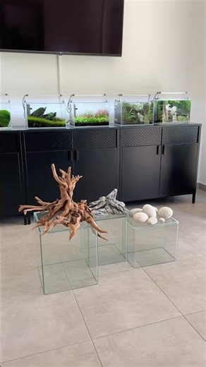 Planning New Scapes #aquascaping #aquascape #aquarium #plantedaquarium #plantedtank #fishtank