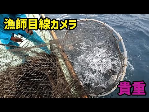 小型定置網漁を漁師目線でお楽しみください！