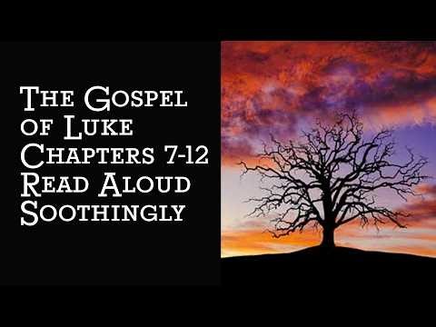 The Gospel of Luke Chapters 7-12 Read Aloud Soothingly #asmr #christianbible