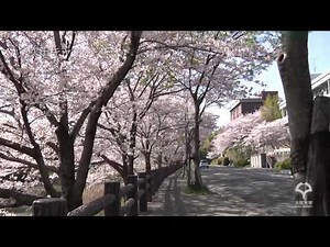 大阪大学吹田キャンパス（2011） Suita campus