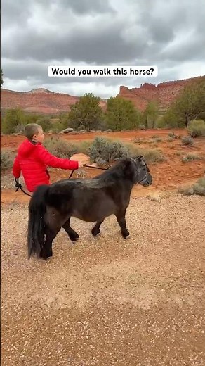 We Found the Most Unique Airbnb in Utah and It Has Horses #travel #airbnb #adventure