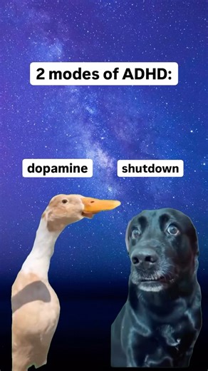 Somatic Exercises with Liz Tenuto on Instagram: "it’s called BALANCE 😂👇🏼 neurodivergent nervous systems are more likely to be dysregulated… this isn’t your fault and there isn’t anything “wrong with you” neurodivergent nervous systems tend to run at a higher baseline of nervous system activation... in other words, your body gets stuck in its “on” position, what’s known as sympathetic activation, or more simply, fight-or-flight. and this isn’t because something is “wrong” with you. it’s often 