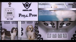 Microbubbles are just very small bubbles. To qualify as “micro”, a bubble must, in fact, be less than a 1000 micrometers in size. Microbubbles work on a much deeper level than any soaps or shampoos. They offer a whole new concept of clean skin. | JUST DOGS