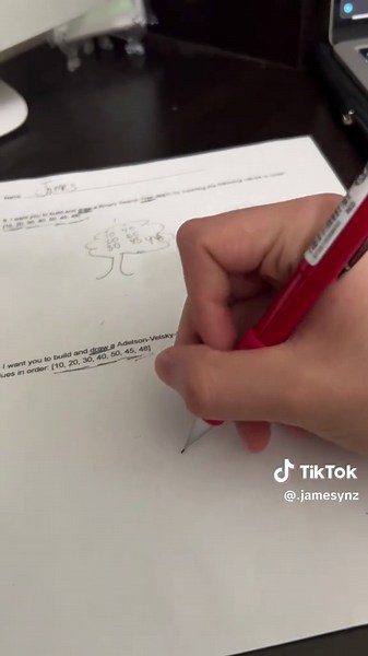 Mastering AVL Trees in Computer Science: A Student's Guide